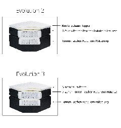 Querschnitt Evolution