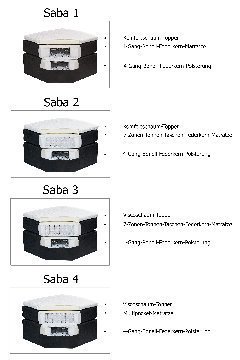 Querschnitt Saba