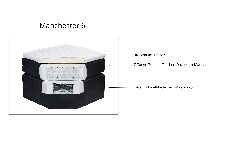 Querschnitt